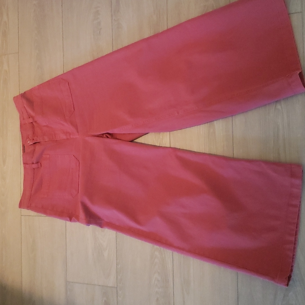 pointe Sur cropped pants